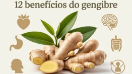 Benefícios do Gengibre